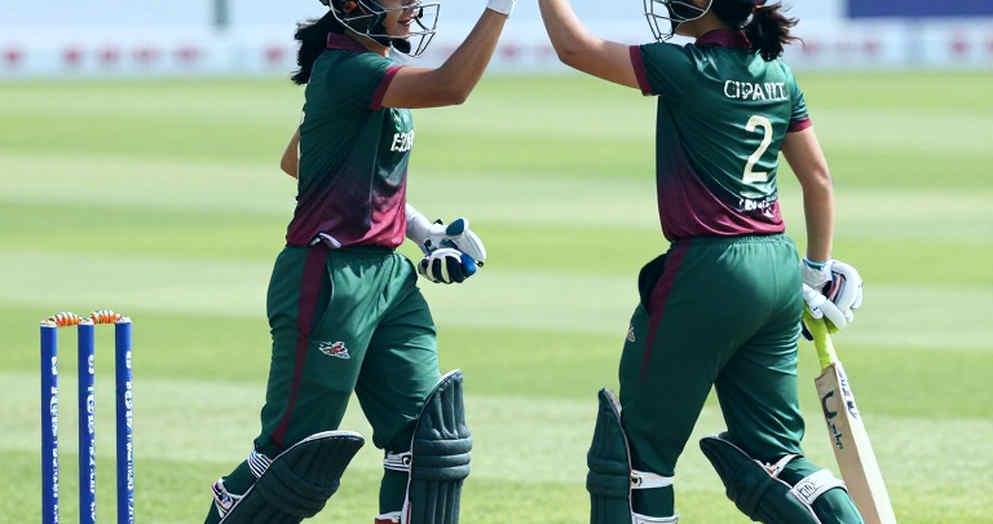 বাফারে আটকে যাওয়া গর্জন: নিয়মিত মৌসুমে ক্রিকেটের অদৃশ্য এগারো জন বাফারে আটকে যাওয়া গর্জন: নিয়মিত মৌসুমে ক্রিকেটের অদৃশ্য এগারো জন